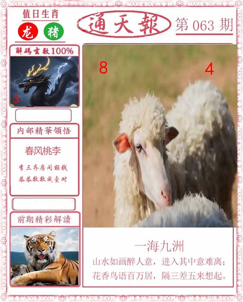 正版通天报