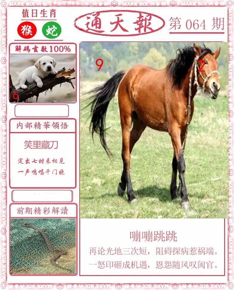 正版通天报
