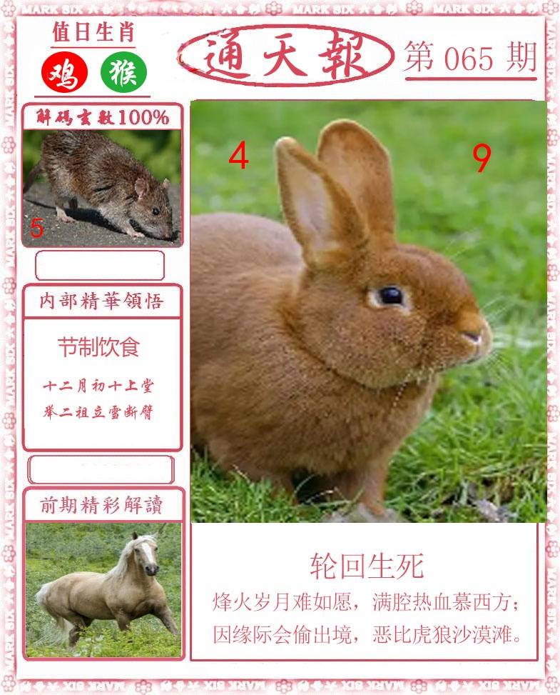 正版通天报
