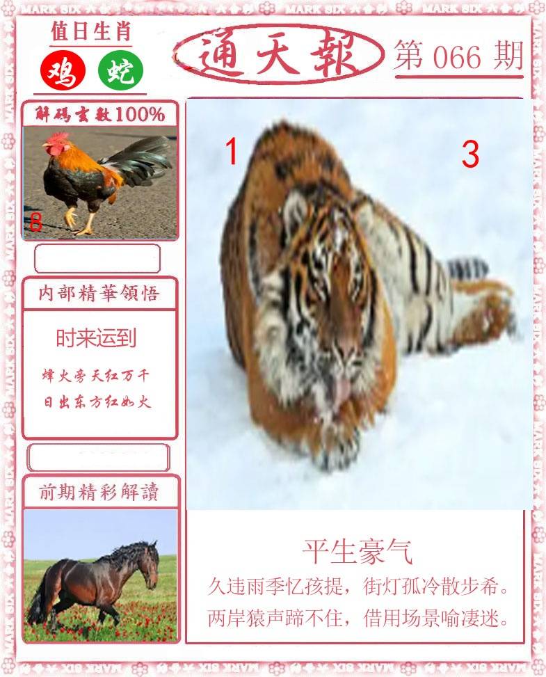 正版通天报