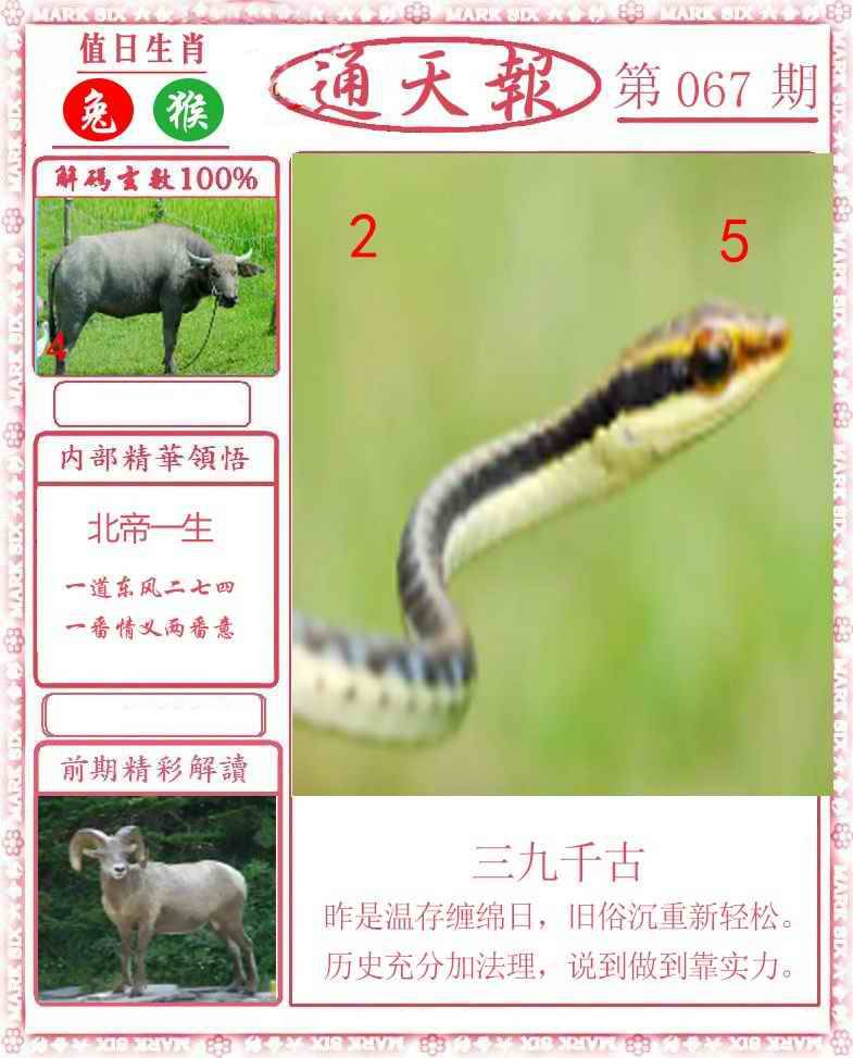 正版通天报