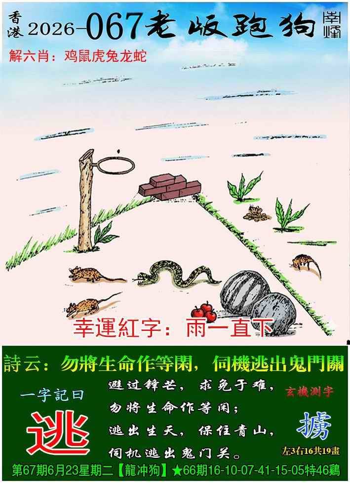 老版跑狗图