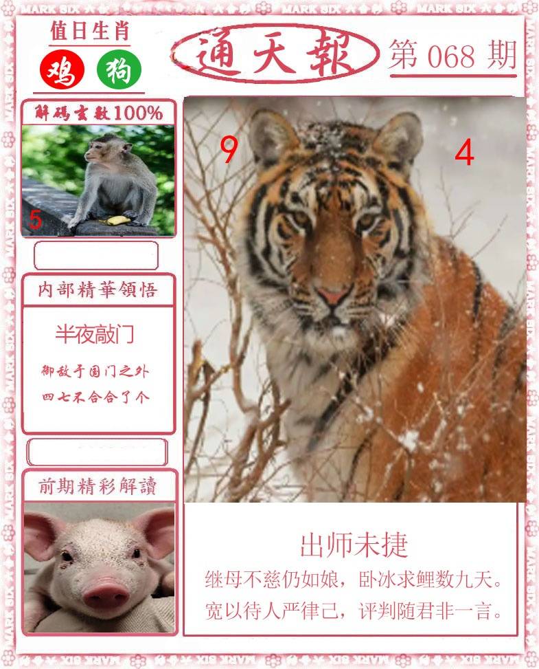 正版通天报