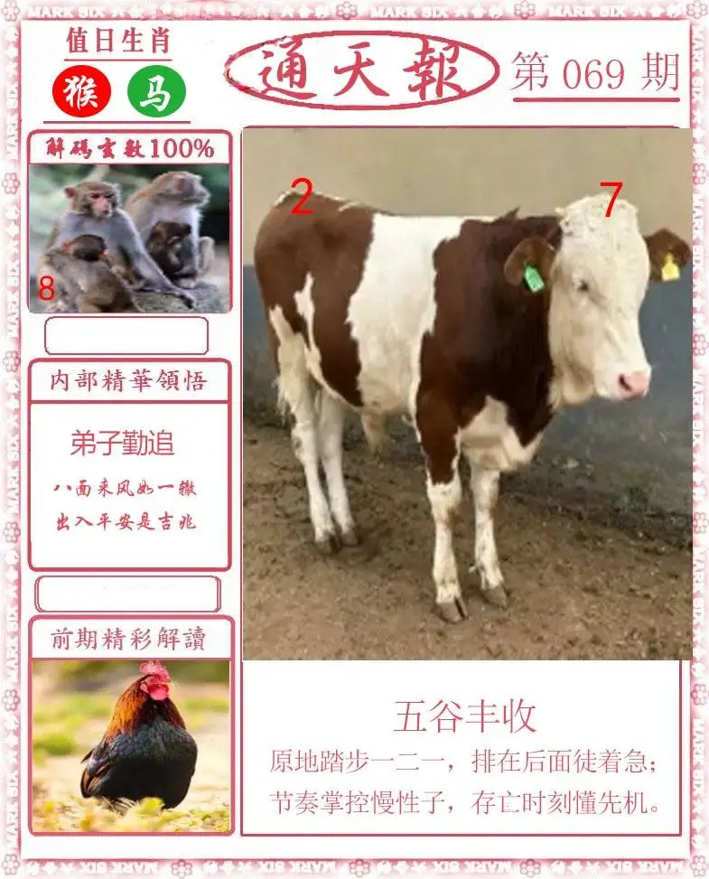 正版通天报