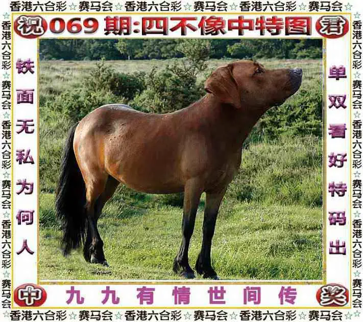 正版四不像