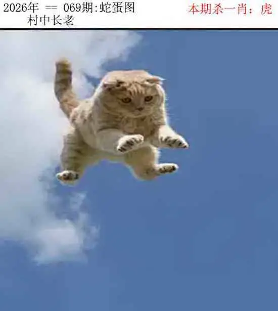 正版蛇蛋图